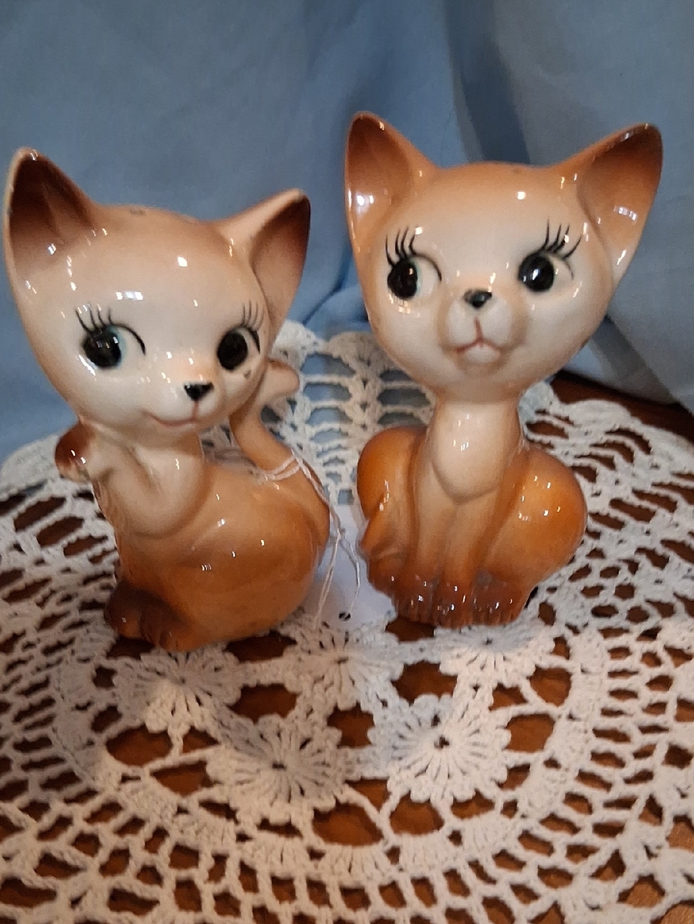 Anthropomorphic Cat S&P Set